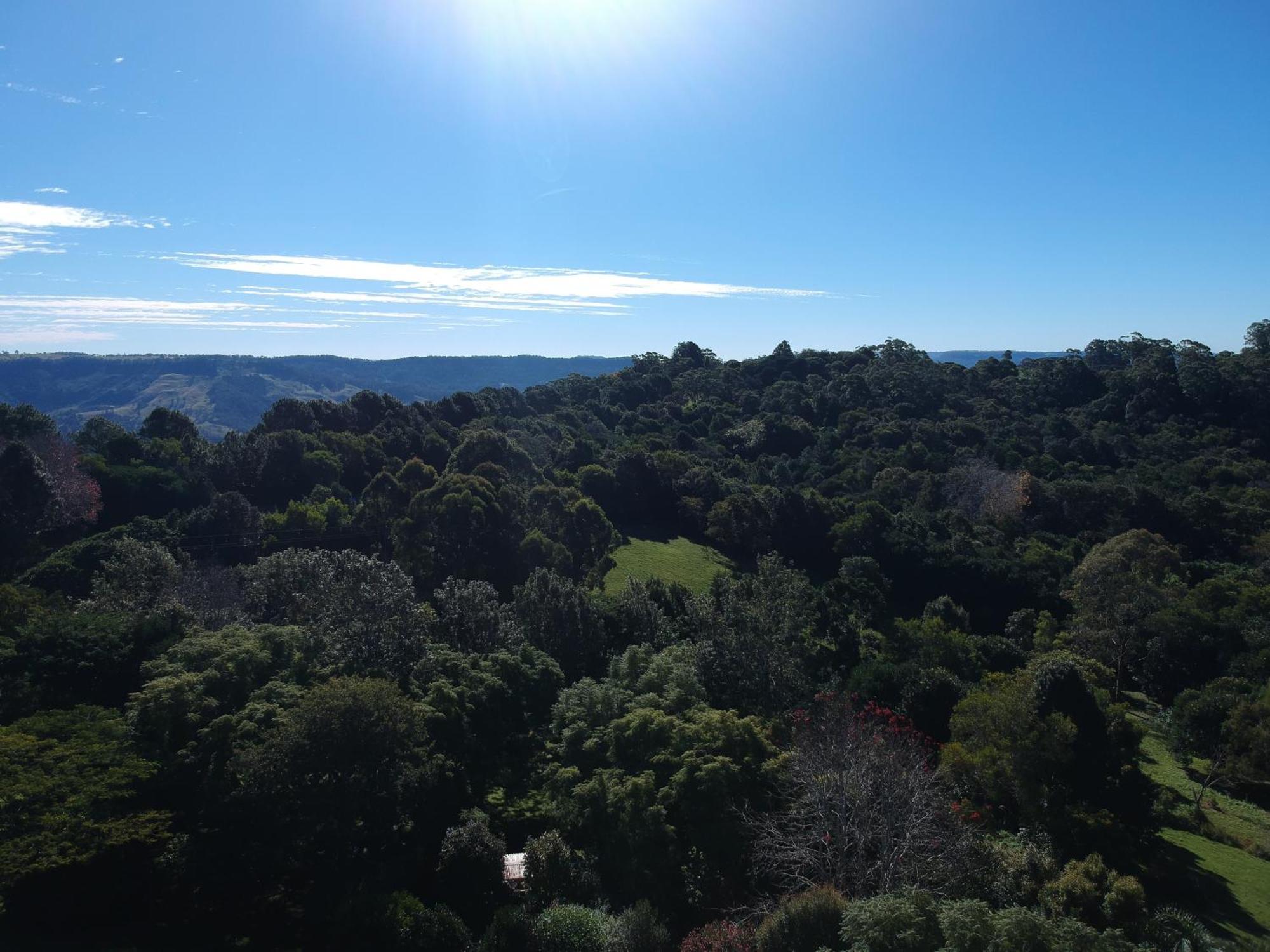 Wyndover Mountain Retreat * Beechmont